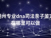 朔州专业dna司法亲子鉴定在哪里可以做