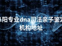 阜阳专业dna司法亲子鉴定机构地址