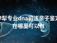 伊犁专业dna司法亲子鉴定在哪里可以做