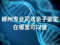 郴州专业司法亲子鉴定在哪里可以做