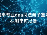 四平专业dna司法亲子鉴定在哪里可以做