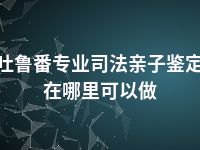 吐鲁番专业司法亲子鉴定在哪里可以做