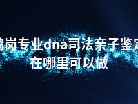 鹤岗专业dna司法亲子鉴定在哪里可以做