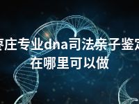 枣庄专业dna司法亲子鉴定在哪里可以做