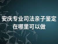 安庆专业司法亲子鉴定在哪里可以做