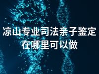 凉山专业司法亲子鉴定在哪里可以做