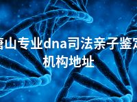 唐山专业dna司法亲子鉴定机构地址