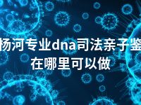 胡杨河专业dna司法亲子鉴定在哪里可以做