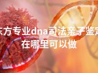 东方专业dna司法亲子鉴定在哪里可以做