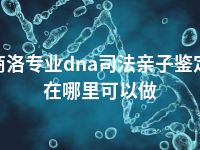 商洛专业dna司法亲子鉴定在哪里可以做