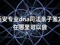 西安专业dna司法亲子鉴定在哪里可以做