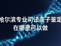 哈尔滨专业司法亲子鉴定在哪里可以做