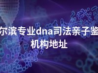 哈尔滨专业dna司法亲子鉴定机构地址