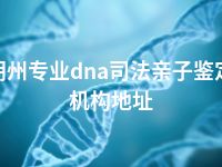 朔州专业dna司法亲子鉴定机构地址