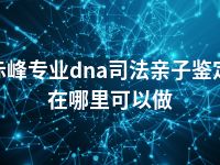 赤峰专业dna司法亲子鉴定在哪里可以做