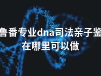 吐鲁番专业dna司法亲子鉴定在哪里可以做