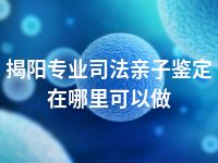 揭阳专业司法亲子鉴定在哪里可以做