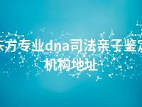 东方专业dna司法亲子鉴定机构地址