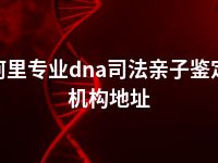 阿里专业dna司法亲子鉴定机构地址