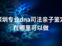 深圳专业dna司法亲子鉴定在哪里可以做