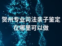 贺州专业司法亲子鉴定在哪里可以做