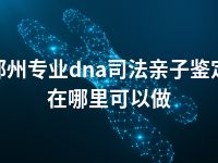 郑州专业dna司法亲子鉴定在哪里可以做