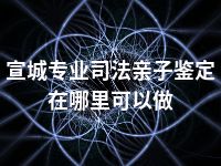 宣城专业司法亲子鉴定在哪里可以做