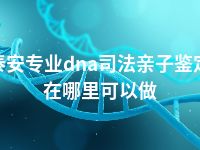 泰安专业dna司法亲子鉴定在哪里可以做