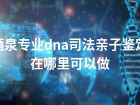 酒泉专业dna司法亲子鉴定在哪里可以做