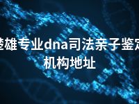 楚雄专业dna司法亲子鉴定机构地址