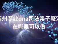 宿州专业dna司法亲子鉴定在哪里可以做