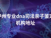 泸州专业dna司法亲子鉴定机构地址