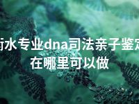 衡水专业dna司法亲子鉴定在哪里可以做