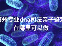 滨州专业dna司法亲子鉴定在哪里可以做