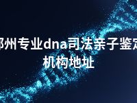 郑州专业dna司法亲子鉴定机构地址