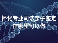 怀化专业司法亲子鉴定在哪里可以做