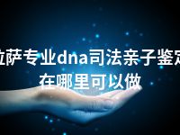 拉萨专业dna司法亲子鉴定在哪里可以做