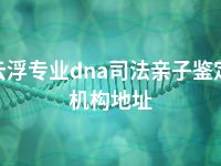 云浮专业dna司法亲子鉴定机构地址