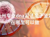 永州专业dna司法亲子鉴定在哪里可以做