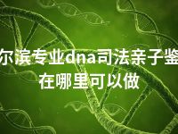 哈尔滨专业dna司法亲子鉴定在哪里可以做