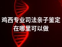 鸡西专业司法亲子鉴定在哪里可以做