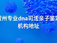 贺州专业dna司法亲子鉴定机构地址