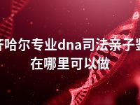 齐齐哈尔专业dna司法亲子鉴定在哪里可以做