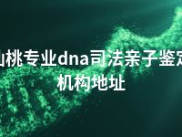 仙桃专业dna司法亲子鉴定机构地址