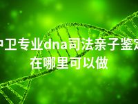 中卫专业dna司法亲子鉴定在哪里可以做