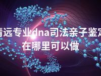 清远专业dna司法亲子鉴定在哪里可以做