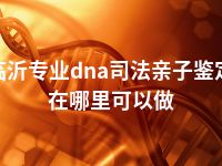 临沂专业dna司法亲子鉴定在哪里可以做