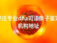 枣庄专业dna司法亲子鉴定机构地址