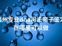 福州专业dna司法亲子鉴定在哪里可以做