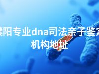 濮阳专业dna司法亲子鉴定机构地址